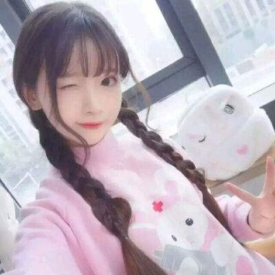天宠岛手游破解版下载